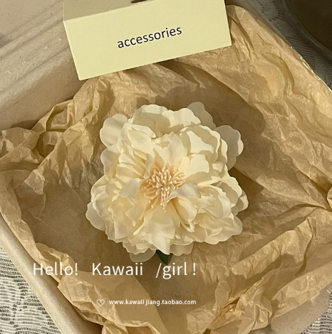晕染山茶花